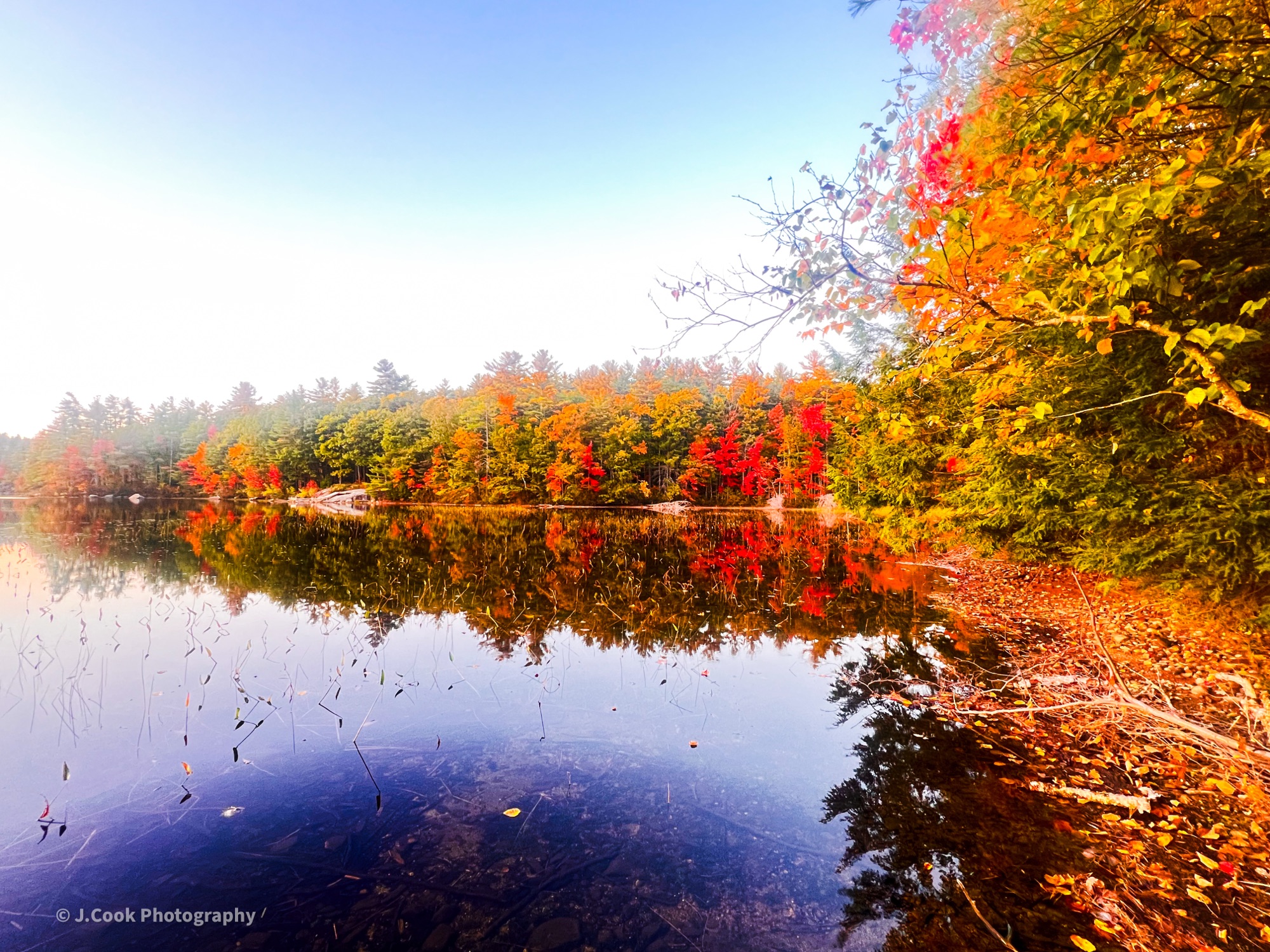 The Colors of Fall – J.Cook Photography